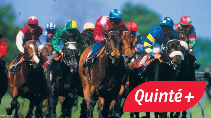Quinté du Jour à Chantilly : Un Déroulement Inattendu, Qui a Créé la Sensation à l’Arrivée ?