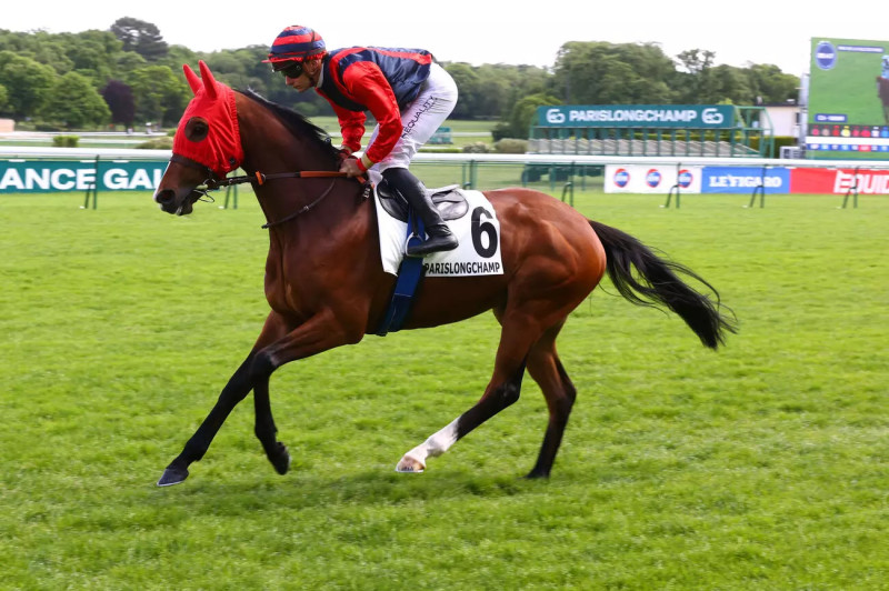Quinté du jour sur Equidia Live : El Pequenio en quête de revanche à Compiègne