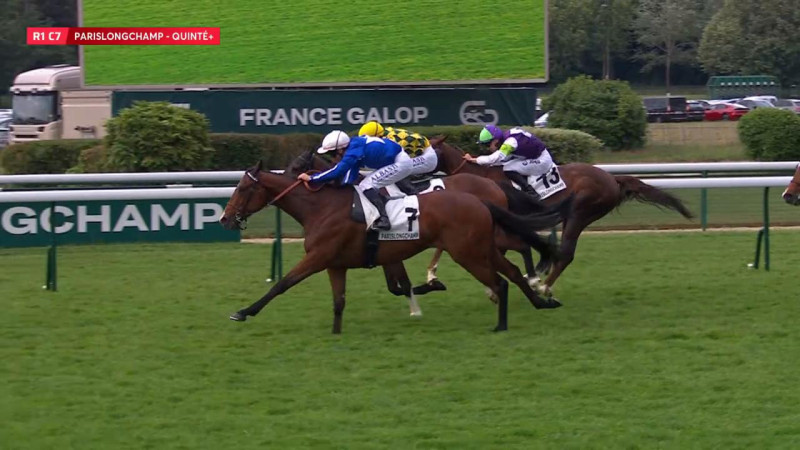 Résultat Quinté+ à Longchamp : un numéro inattendu bouleverse tout…