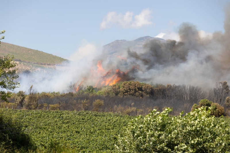 Incendie en Haute-Corse : près de 400 hectares détruits à Saint-Florent et Oletta
