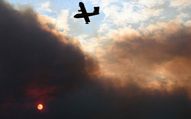 Incendies en Corse : 400 hectares ravagés près de Saint-Florent