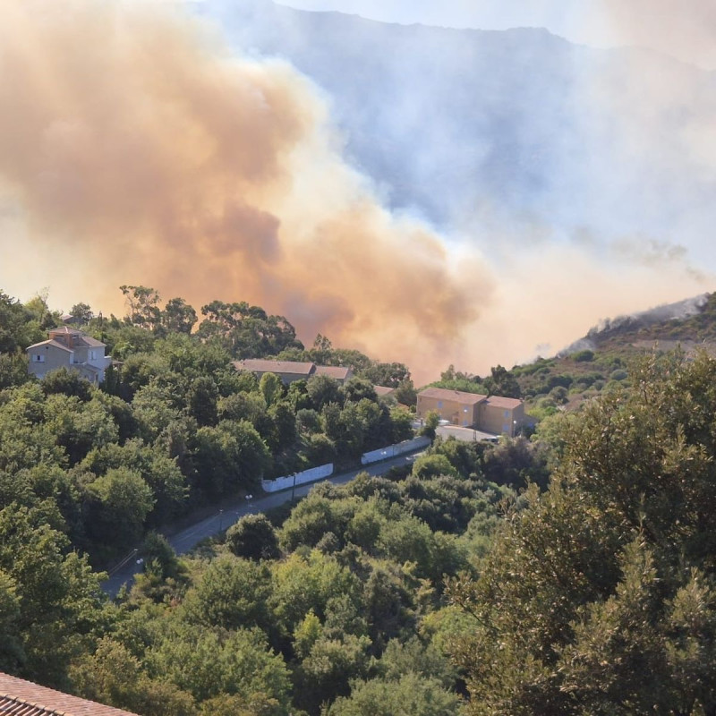 Incendies en Haute-Corse : 400 hectares ravagés près de Saint-Florent et Oletta