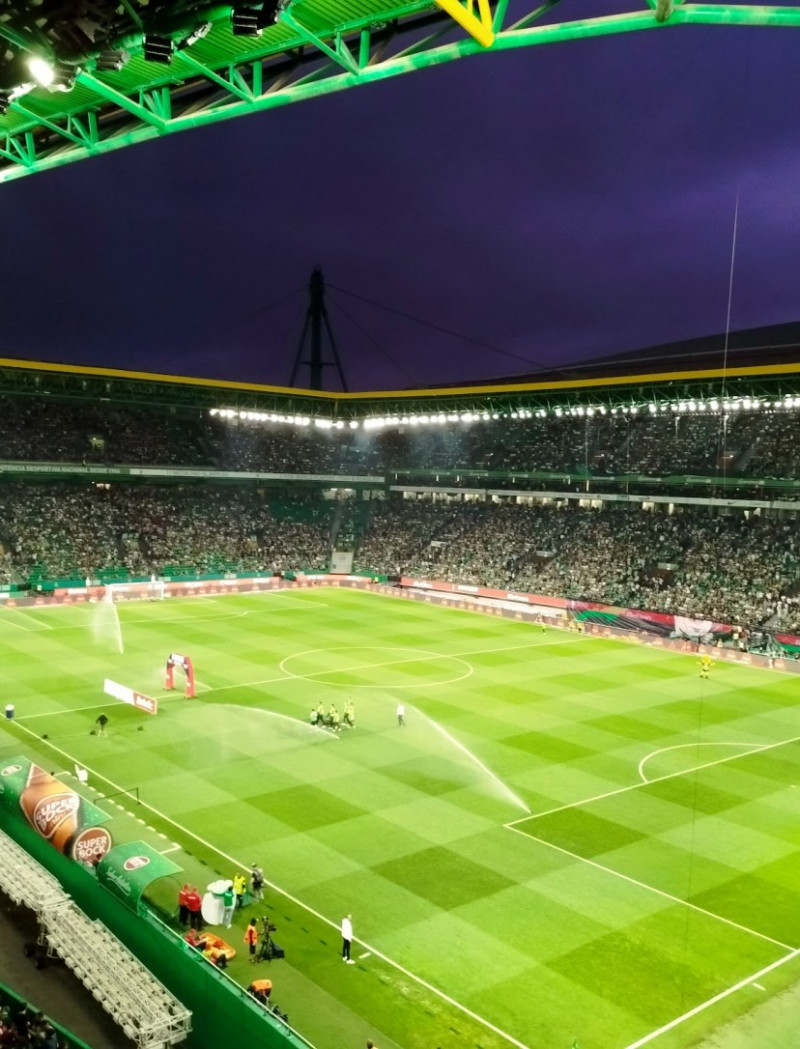 Sporting terrasse Braga : une soirée victorieuse en Liga Portugal