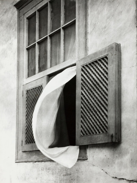 Match Amical: Le Brésil et la Tunisie S'affrontent à Lille