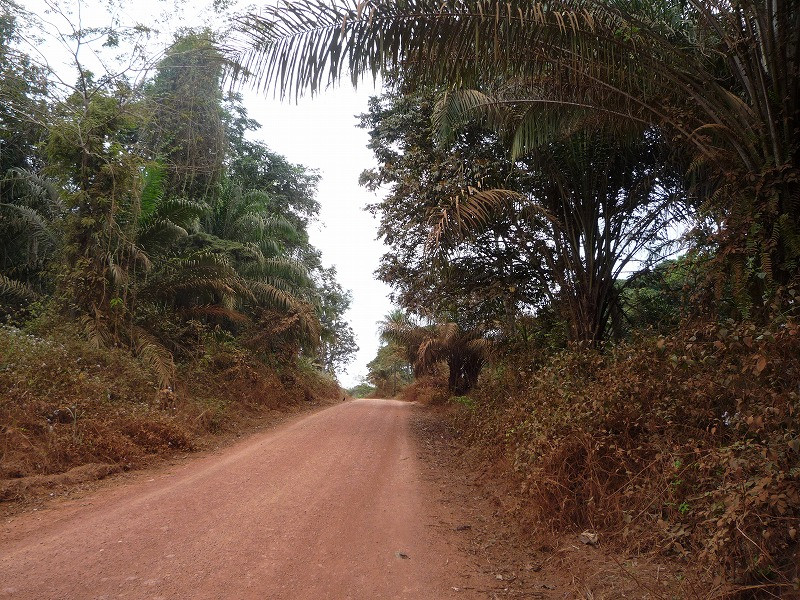 Chancel Mbemba : L'Étoile du Congo Cameroun Match