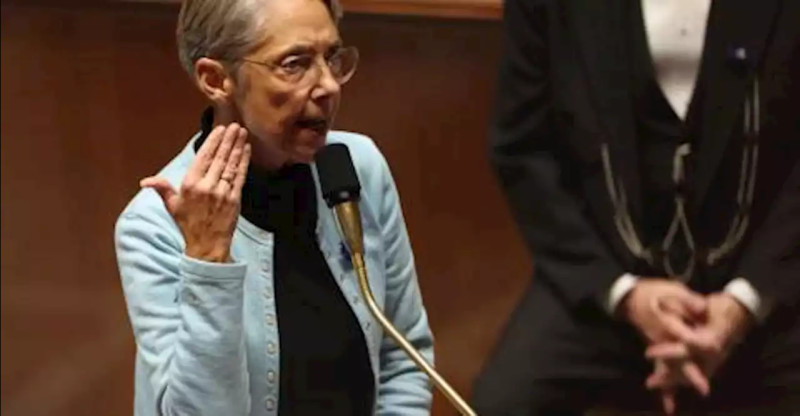 L'économie française face aux défis contemporains: un regard sur les perspectives de Borne, Porcher et Bouzou