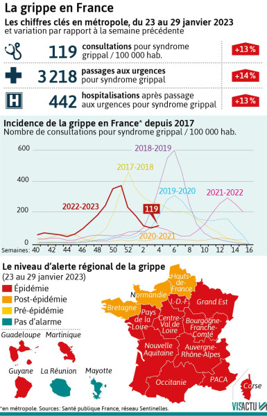 Épidémie de grippe : alerte maximale en France en cette fin novembre 2025