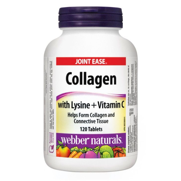 France vs. Australia: A Thrilling Rugby Showdown