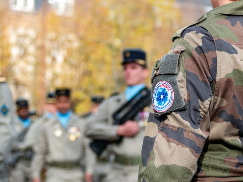 Bleuet de France: Un symbole vivant de mémoire et de solidarité