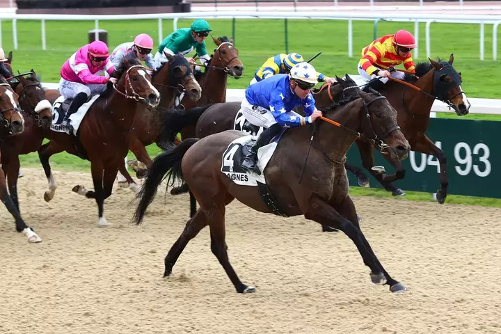 L'Arrivée du Quinté : Analyse et Pronostics pour les Courses PMU