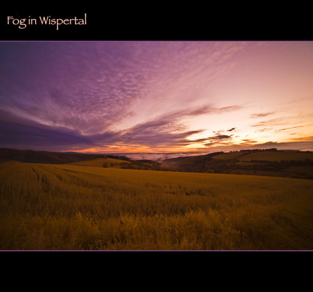 Découvrez Brown University, Une Institution de Renom