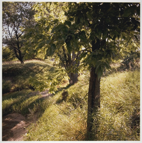 Arsenal's Dominant Victory Over Club Brugge Secures Champions League Spot