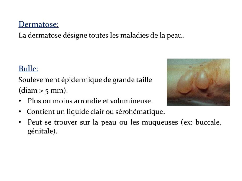 Dermatose nodulaire : Tout ce que vous devez savoir