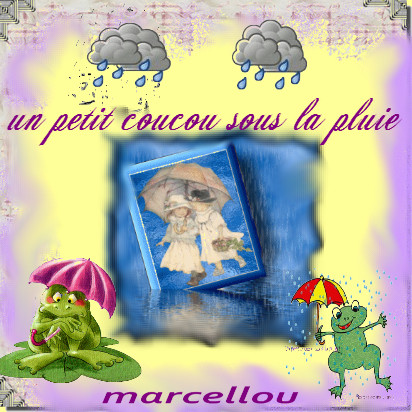 Alerte Inondation dans l'Hérault : Une Vigilance Orange pour des Pluies Intenses