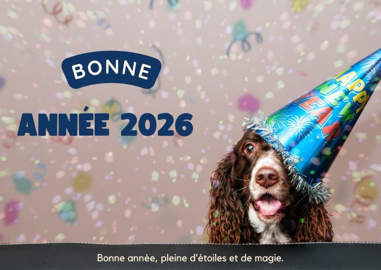 Le rire et la joie pour une bonne année 2026 pleine d'humour