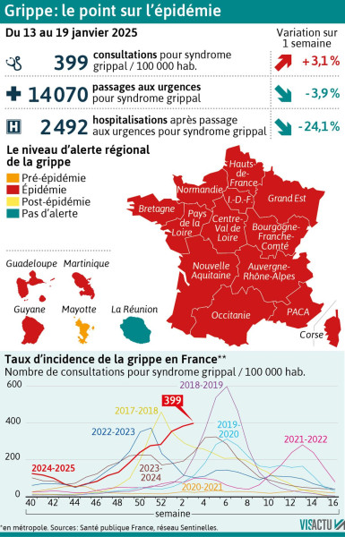 Épidémie de grippe en France : Une fin d'année 2025 marquée par la recrudescence du virus