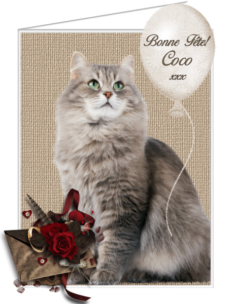 Images de Bonne Année 2026 : Idées et Inspirations pour des Vœux Uniques