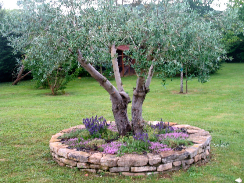 Olivier Létang : Colère et controverse sur le terrain