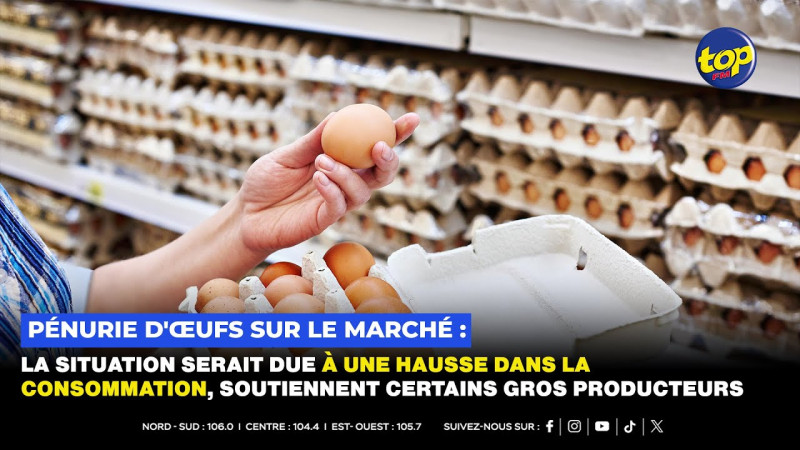 Pénurie d'œufs en France : Une Crise qui Touche les Rayons des Supermarchés