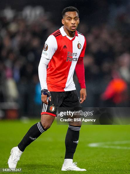 Quinten Timber: Une nouvelle aventure commence