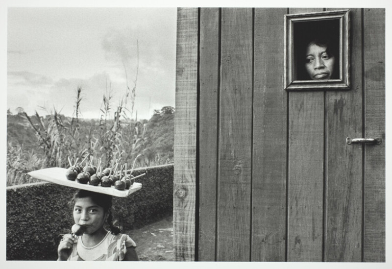 Algérie vs. Guatemala: Un match international qui promet de faire vibrer les supporters