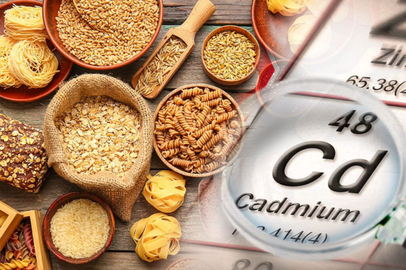 Cadmium: le polluant invisible dans notre assiette