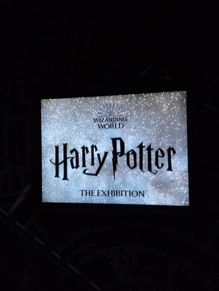 Le Château de Versailles célèbre les 25 ans de Harry Potter avec des spectacles nocturnes époustouflants