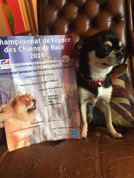 Le drame de Loana: son chien Titi retrouvé mort avec elle