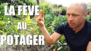 DVG: Vers un nouveau visage de la politique de gauche?