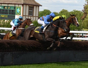 Equidia: La référence des courses hippiques en direct et en replay