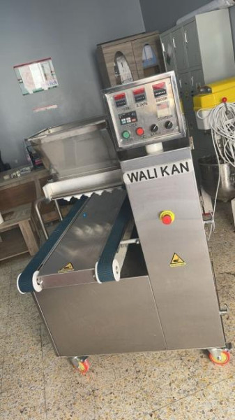 Blida en état de siège: deux attentats-suicides déjoués pendant la visite du pape Léon XIV