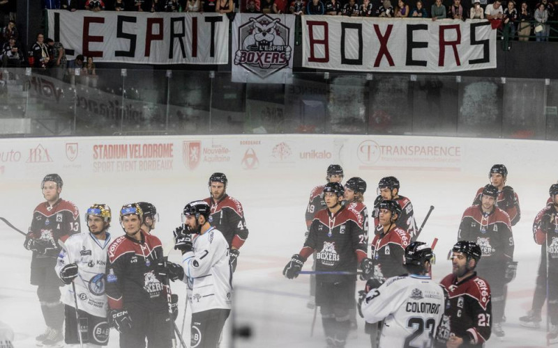 Les Boxers de Bordeaux en passe de conquérir la Ligue Magnus