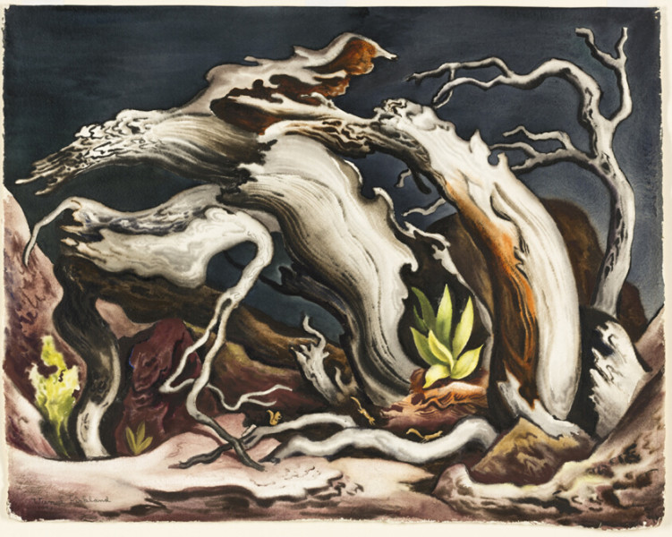 Trump, Vance et Patel: l'évacuation rocambolesque du dîner du Correspondent