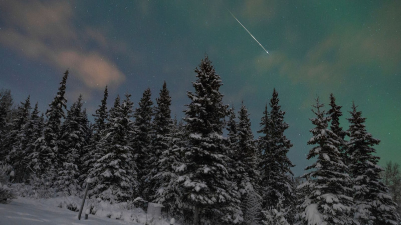 Pluie d'étoiles filantes 2026 : Un spectacle céleste inoubliable à ne pas manquer