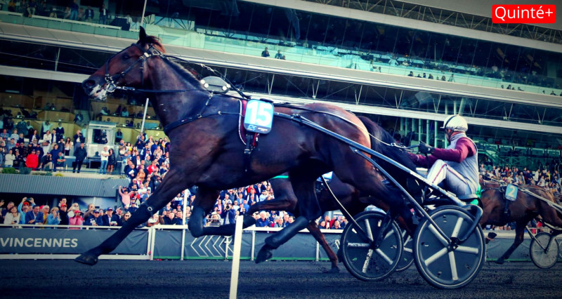 Résultat Quinté du Jour: Découvrez les Arrivées Officiels et Rapports PMU d'Aujourd'hui