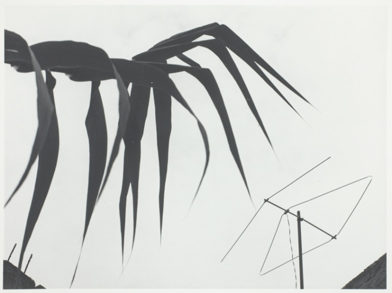 Steevy Boulay, le maître incontesté de la télévision française