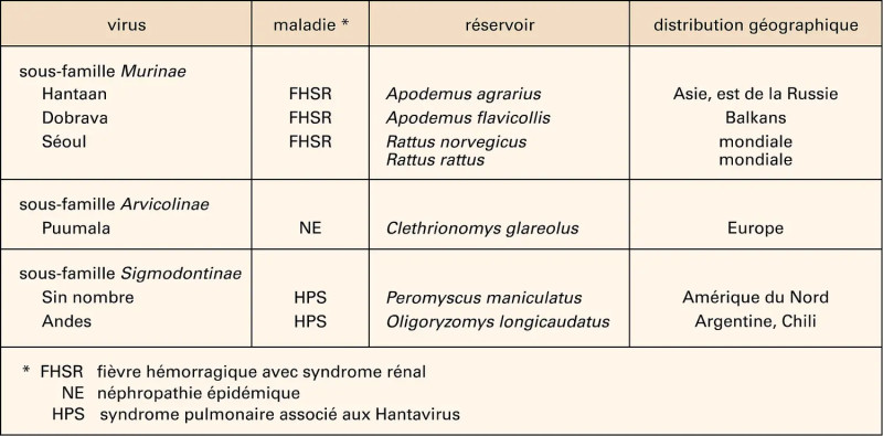 Hantavirus : La menace virulente à bord des croisière