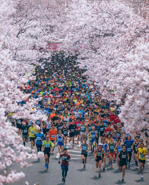 Marathon de la Loire 2026 : un défi à Saumur