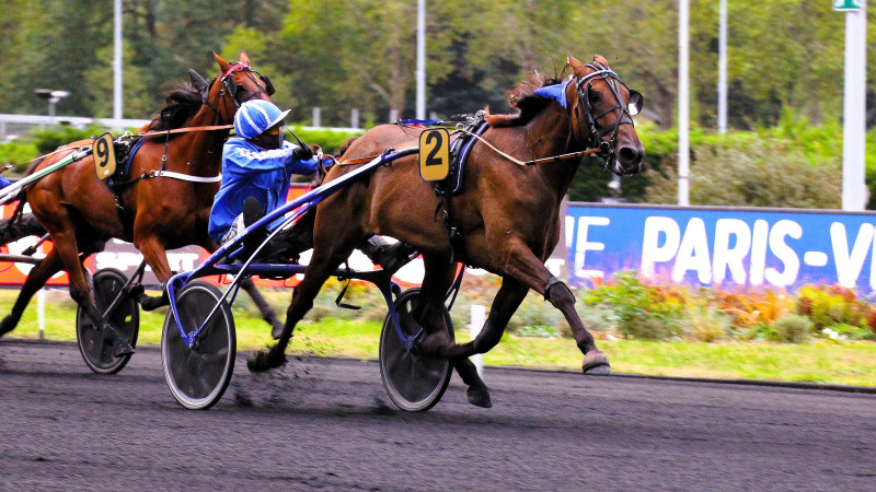 Résultat PMU : L'analyse des courses d'aujourd'hui et les enjeux futurs