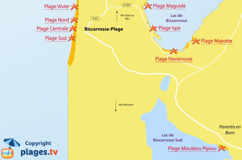 Biscarrosse en Flammes : Un Incendie Monstrueux Ravage la Côte Landaise