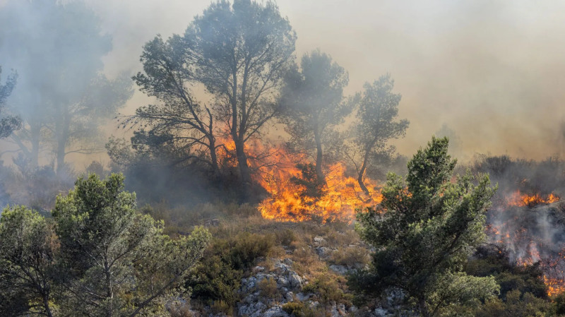Feux de Forêt : Les Bouches-du-Rhône et l'Aude en Alerte Rouge