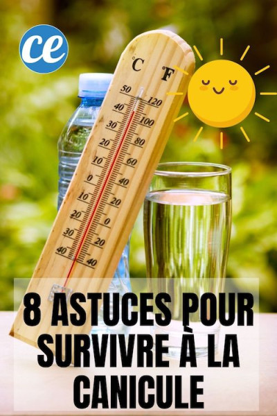 Canicule en France : Dure réalité sous un soleil implacable