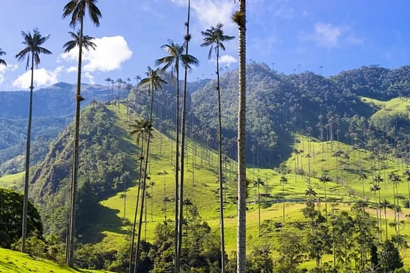 La Suisse élimine la Colombie et se dirige vers un affrontement avec l'Argentine