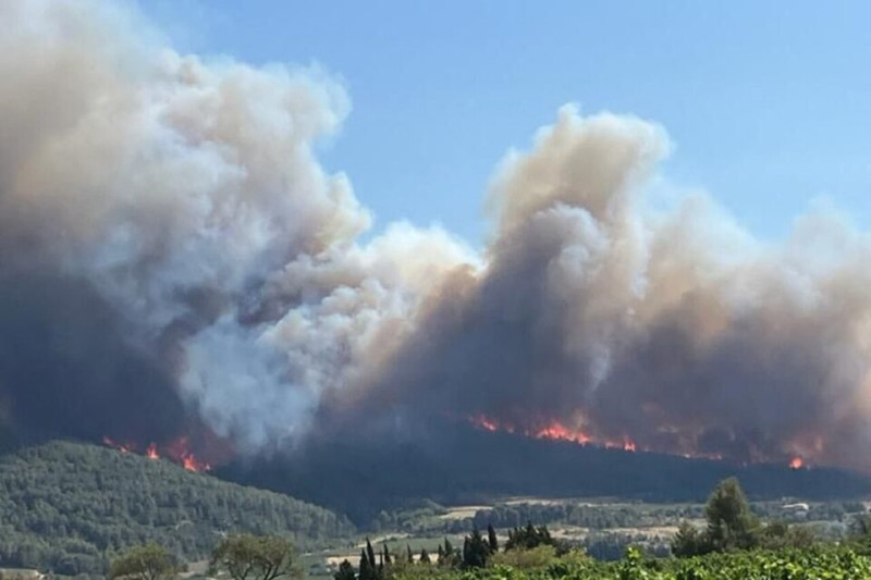 Feu dans l'Aude : Un été de braises et de terribles conséquences