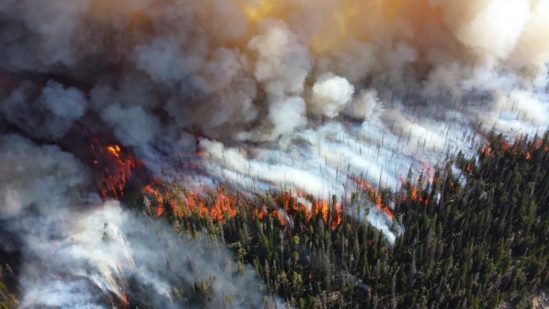 Le feu dévastateur de la forêt de Fontainebleau : l'intervention héroïque de l'hélicoptère bombardier d'eau