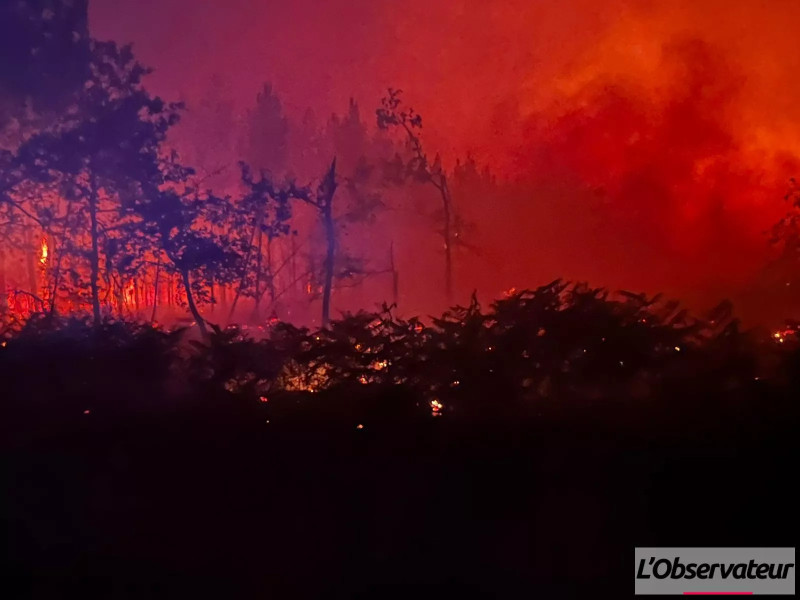 Gironde en feu: l'incendie ravage la région et menace Bordeaux