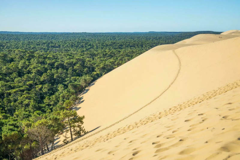 Gironde en flammes : la bataille contre les incendies ravageurs