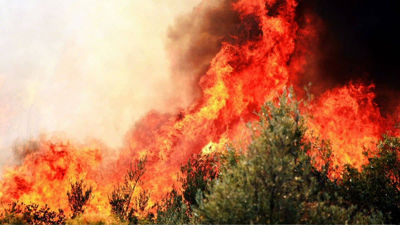 Incendie de Lacanau: 4 000 personnes évacuées en urgence des campings
