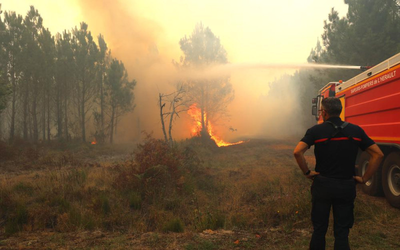 Incendie de Lège-Cap-Ferret : Panique et Evacuations en Gironde