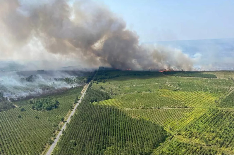 Incendie en Gironde : Lège-Cap-Ferret sous la menace des flammes